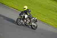 Lower Group Silver_Grey Bikes